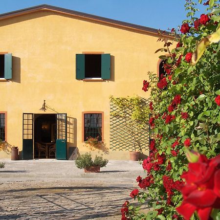 Agriturismo Le Colombaie Busseto Exterior photo
